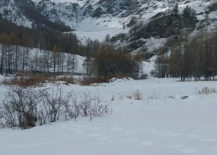 旅馆 Rifugio Aleve *